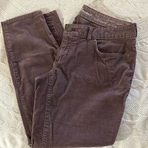 Eddie Bauer slightly curvy skinny mauve corduroy jeans size P12